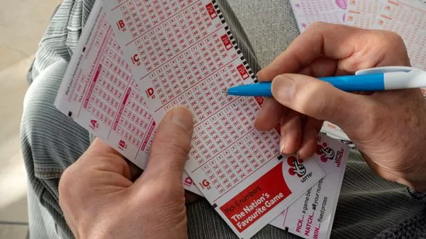 How to Track Your Lottery Wins and Losses