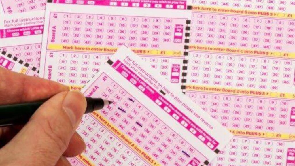 How to Verify Legitimate Online Lottery Sites