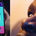 Play and win anywhere with mobile lottery