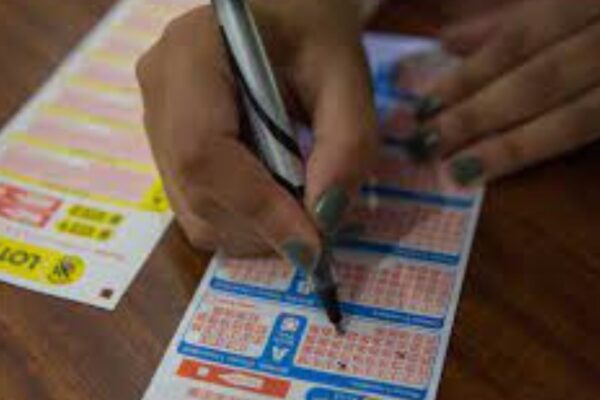 Online lotto games offer global opportunities